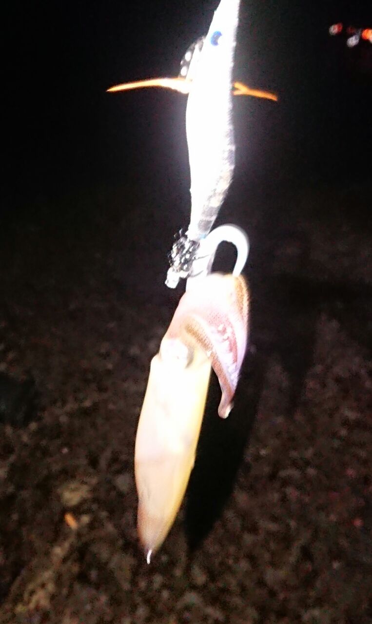 インプレ シマノ ハードロッカー Smh を約2年使用してみて 釣り人 翔 の 外道戦記