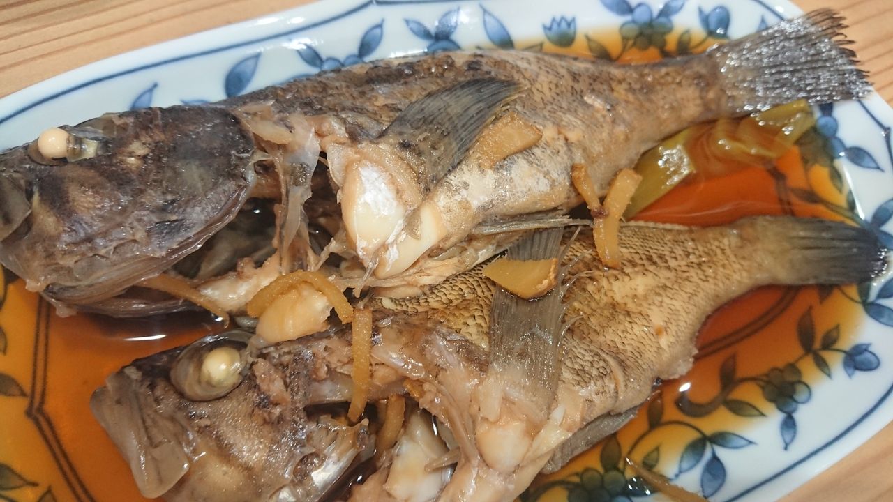 19年8月14日 小樽 南防波堤でのロックフィッシュ釣行 釣り人 翔 の 外道戦記