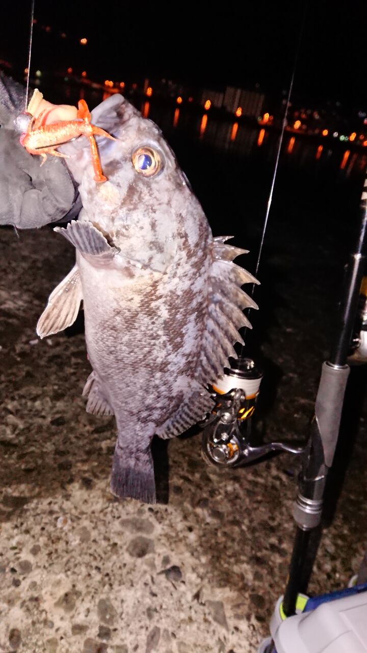 特別編 翔と釣りとガヤ 釣り人 翔 の 外道戦記