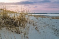 baltic-sea-4095045_640