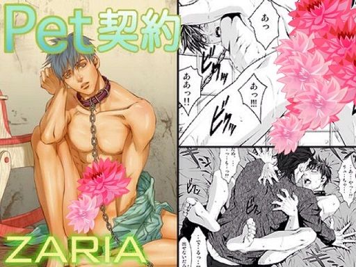 Pet契約 Infatuation