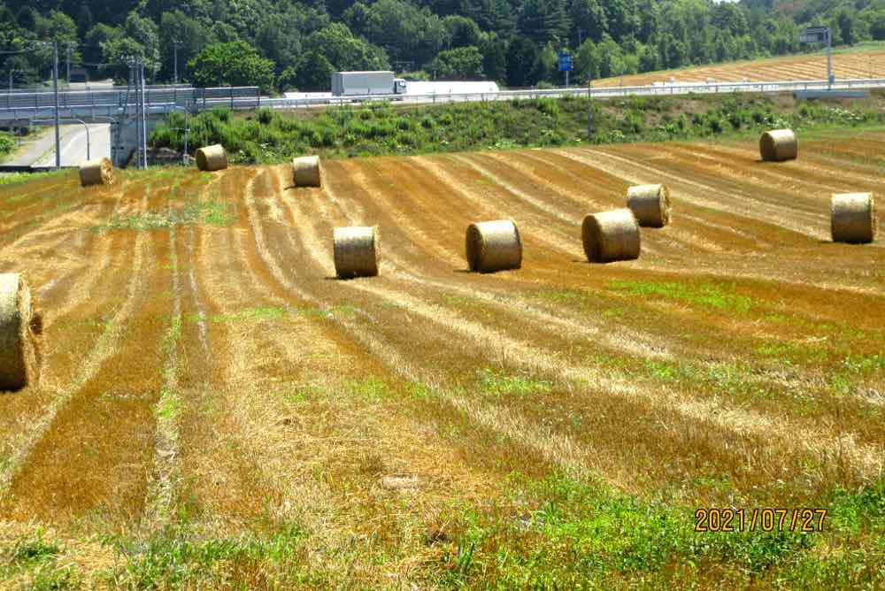 麦稈 ばっかん ロールを作るロールベーダー 北海道21 モーちゃんの人生を楽しむブログ