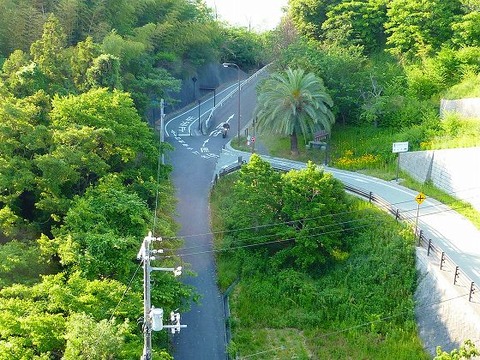 6P1000259自転車道