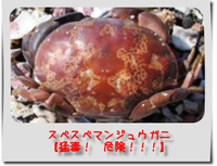 ¥¹¥Ù¥¹¥Ù¥Þ¥ó¥¸¥å¥¦¥¬¥Ë