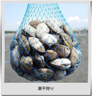 潮干狩り