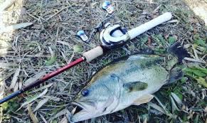 バス釣り始めたんだが全く釣れない アウトドアまとめ速報 バス釣り始めたんだが全く釣れない アウトドアまとめ速報