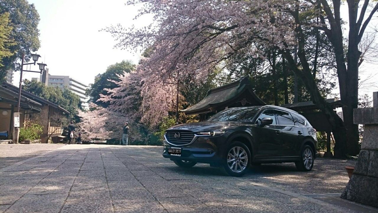 マツダ Cx8 納車 Ktのアウトドアブログ