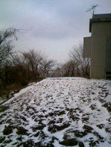8670120d.JPG