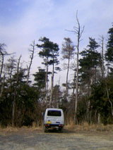 f31ed5ab.JPG