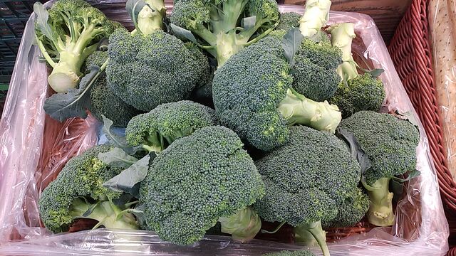 トネリンの風菜園 野菜の値段は