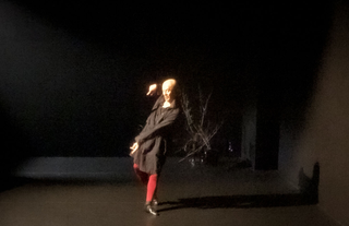 �����꡼�󥷥�å� 2026-02-18 194811