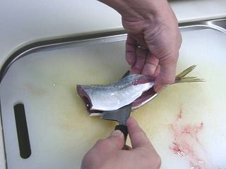 お魚の捌き方 : 新私と鹿児島
