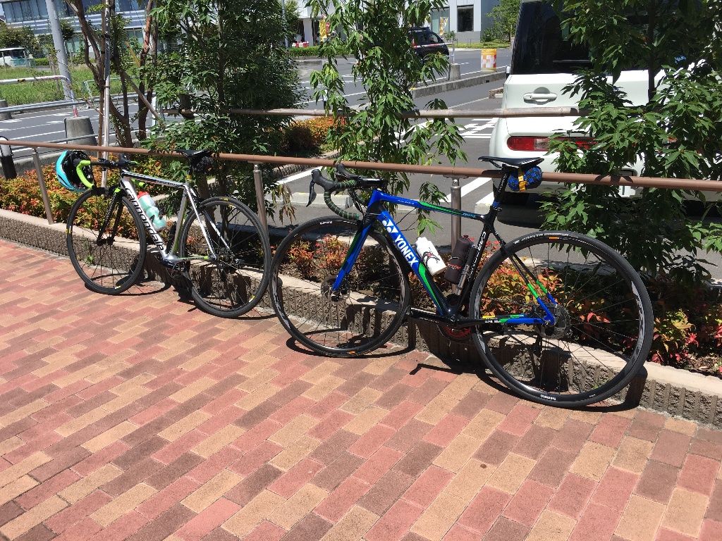 イメージ 7