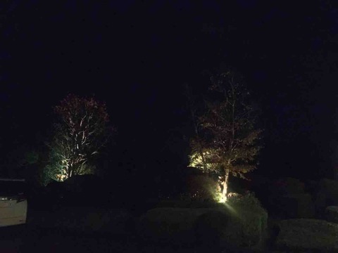 FC5FE808-4E08-4A7D-ADAF-E5FF46A3E47E