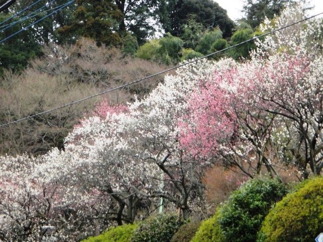 イメージ 3