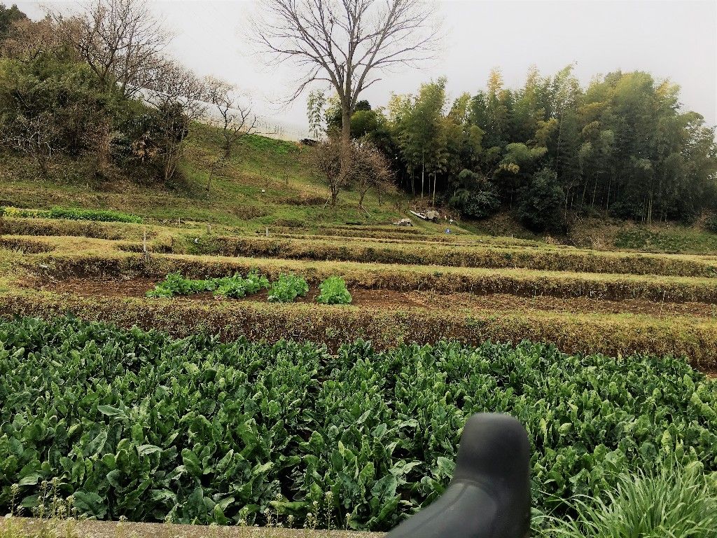 イメージ 2