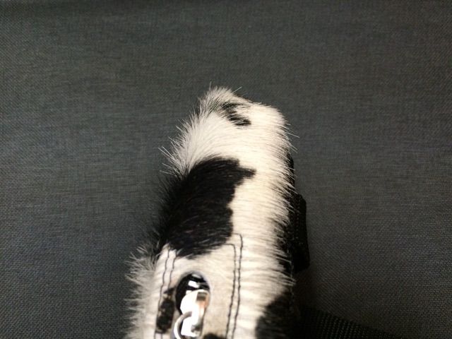 イメージ 7