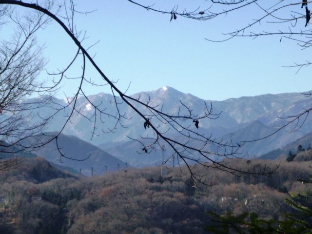 イメージ 3