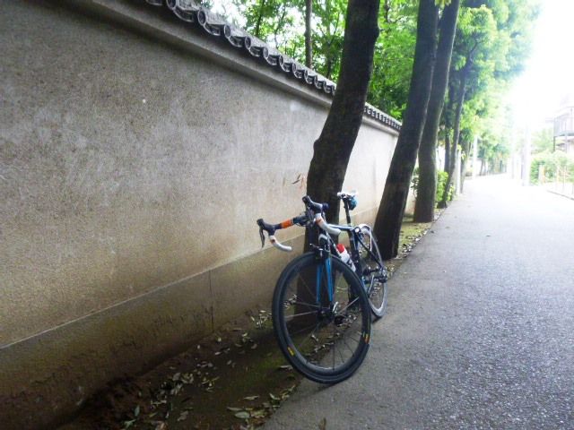 イメージ 5