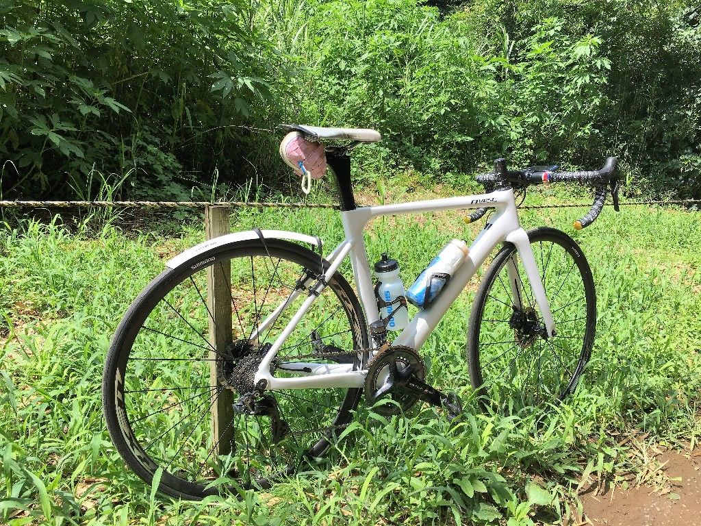 イメージ 5