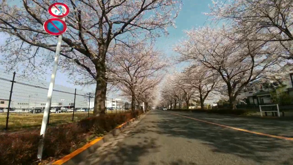 イメージ 2