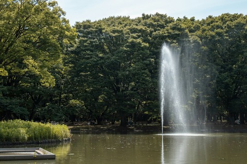 代々木公園01