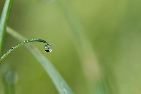drops-1488931_1280