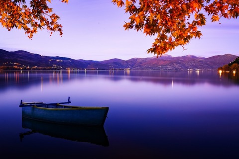 fall-4464546_1280