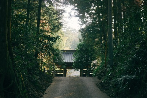 anne-laure-p-MvUiVjXAxNo-unsplash