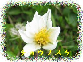 イメージ 13