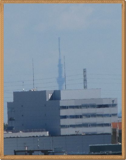 イメージ 14