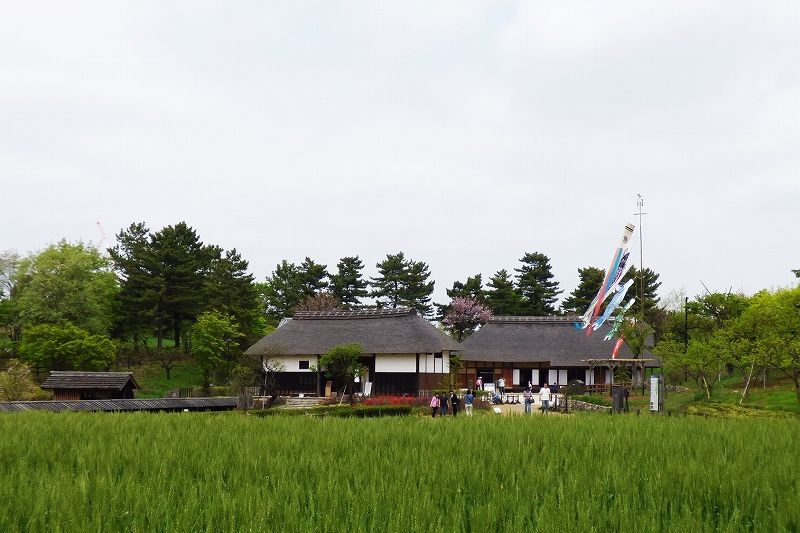 イメージ 19