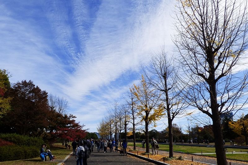 イメージ 11