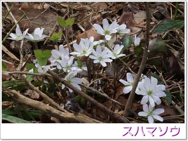 イメージ 19