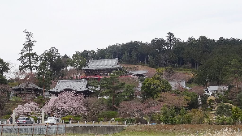 イメージ 11