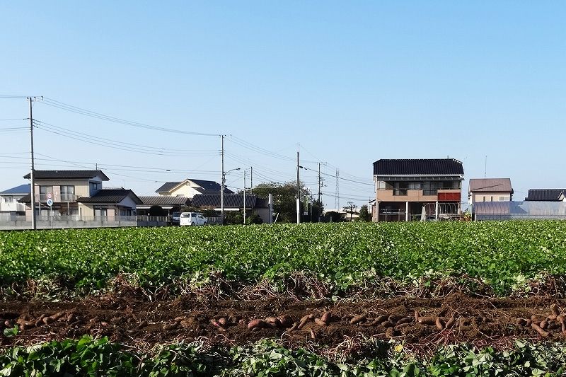 イメージ 7