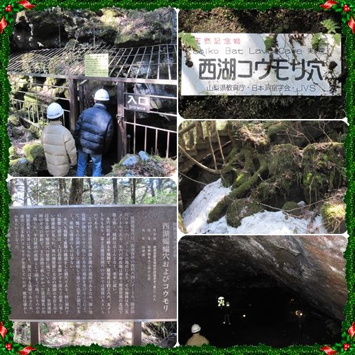 イメージ 7