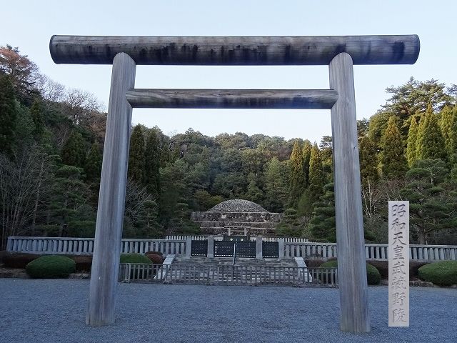 イメージ 8