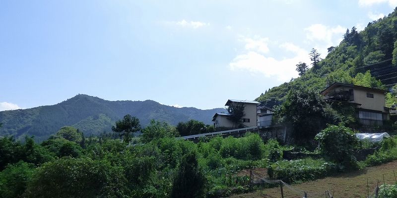 イメージ 7