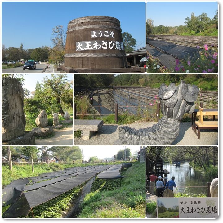 イメージ 5