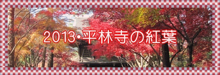 イメージ 6