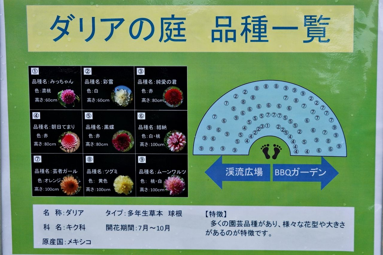 イメージ 4