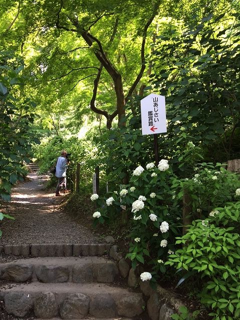 イメージ 9