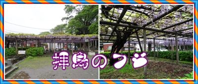 イメージ 1