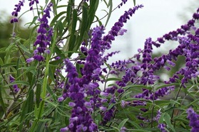 P1013401