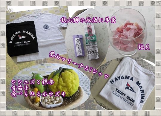 イメージ 2