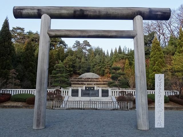 イメージ 9