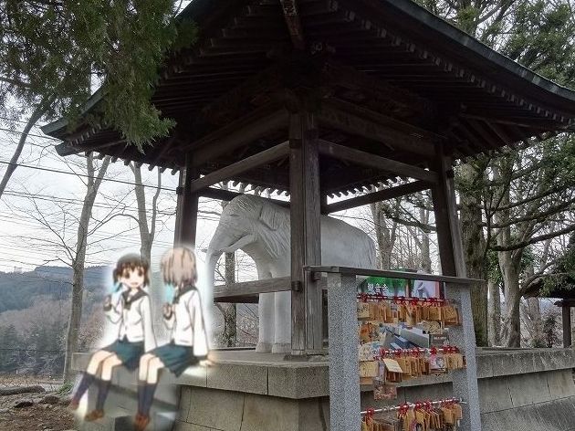 イメージ 5