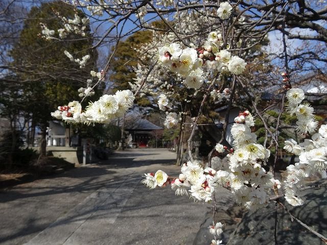 イメージ 3