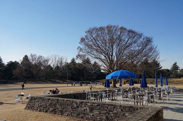 イメージ 4